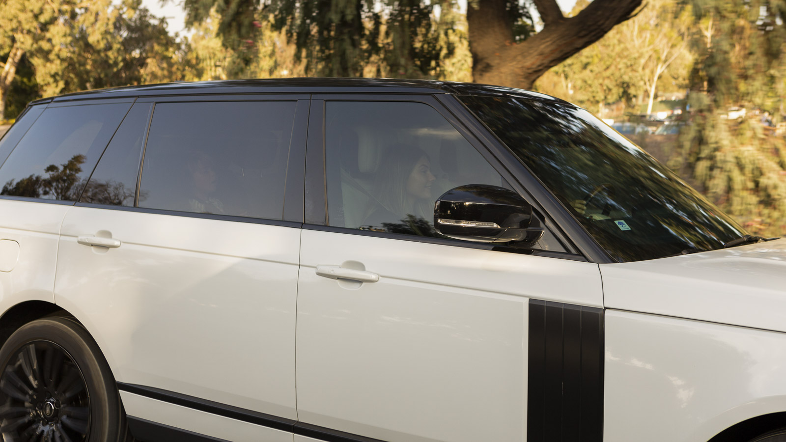 Kavaca Carbon Color Stable Window Film Outside Look